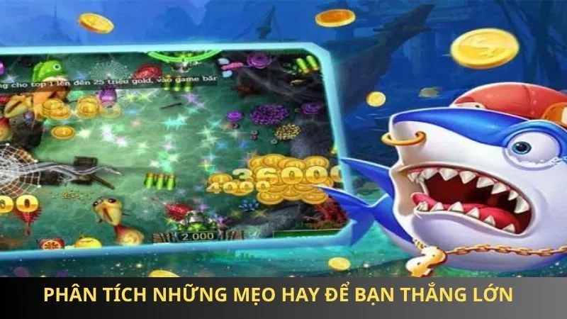 Phân tích những mẹo hay để bạn thắng lớn