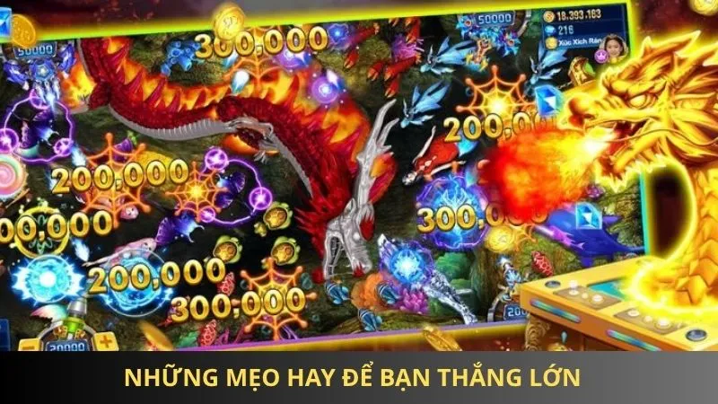 Những mẹo hay để bạn thắng lớn