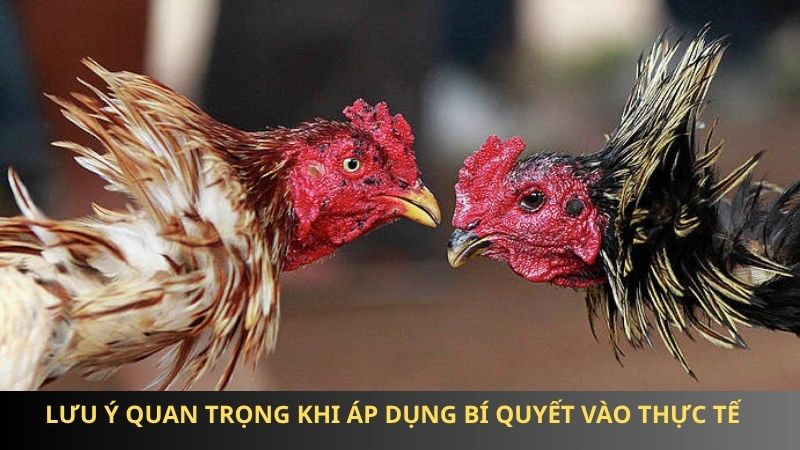 Lưu ý quan trọng khi áp dụng bí quyết vào thực tế