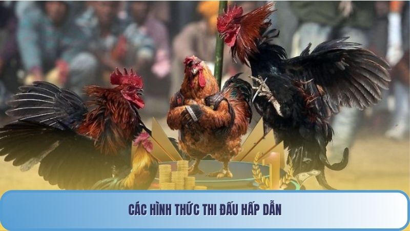 Các hình thức thi đấu hấp dẫn
