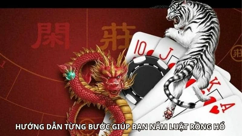 Hướng dẫn từng bước giúp bạn nắm luật rồng hổ 