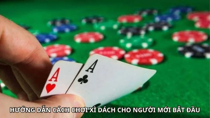 Hướng dẫn cách chơi xì dách cho người mới bắt đầu