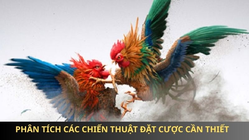 Phân tích các chiến thuật đặt cược cần thiết