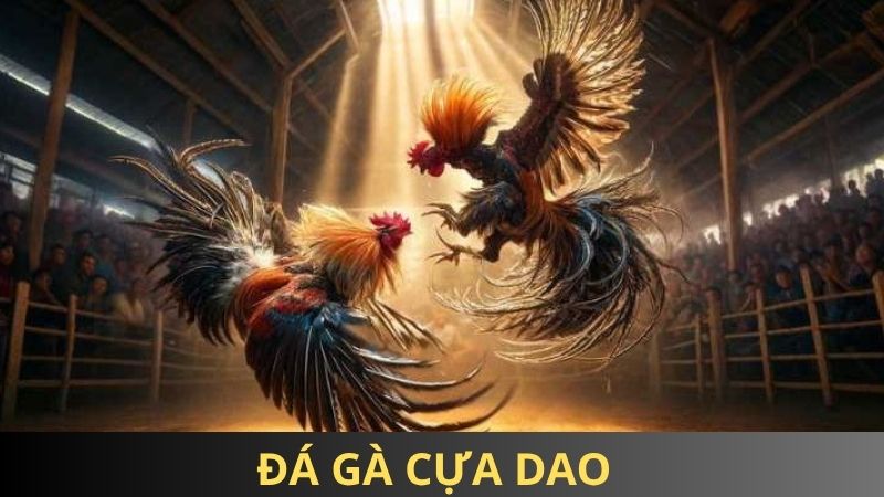 Đá gà cựa dao - Bí quyết đặt cược dễ thắng tại 85win