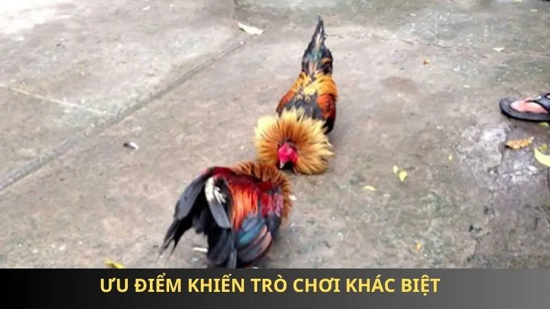 Ưu điểm khiến trò chơi khác biệt