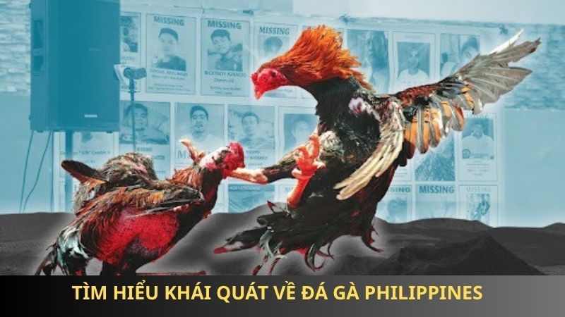 Tìm hiểu khái quát về đá gà philippines