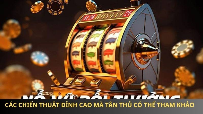 Các chiến thuật đỉnh cao mà tân thủ có thể tham khảo