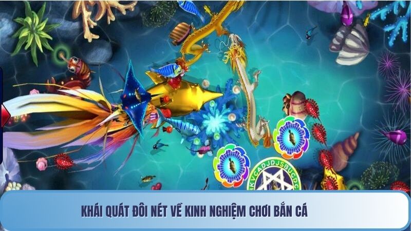 Khái quát đôi nét về kinh nghiệm chơi bắn cá