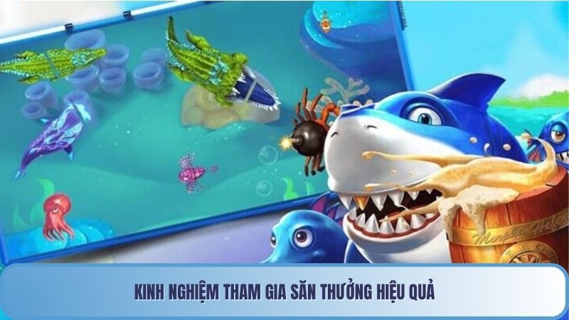 Kinh nghiệm tham gia săn thưởng hiệu quả