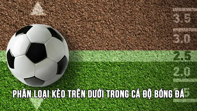 Phân loại kèo trên dưới trong cá độ bóng đá