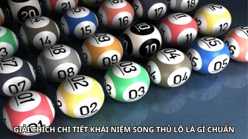 Giải thích chi tiết khái niệm song thủ lô là gì chuẩn